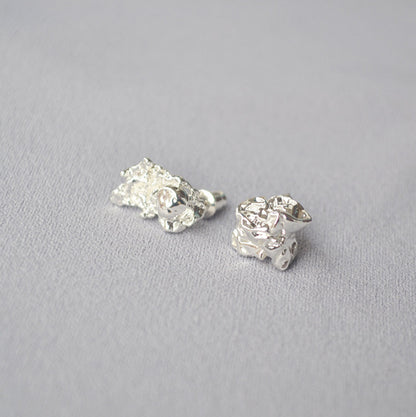 Charming Silver Earring for Any Occasion
