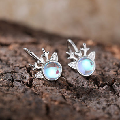Stunning Piece for Daily Wear