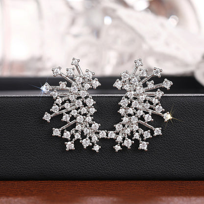 Charming Earring for Any Occasion