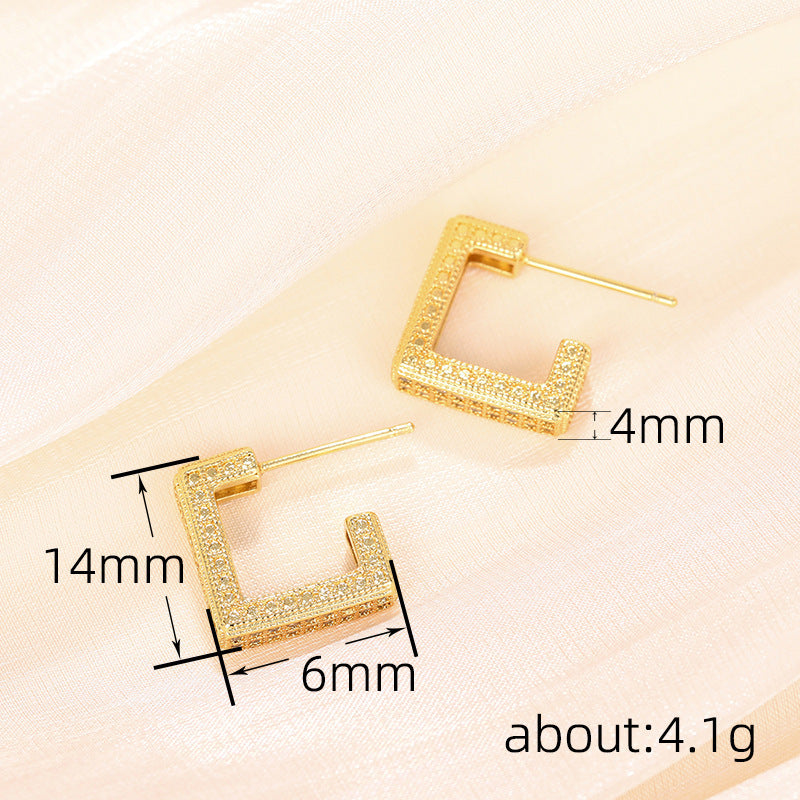 Beautiful Earring with Unique Style