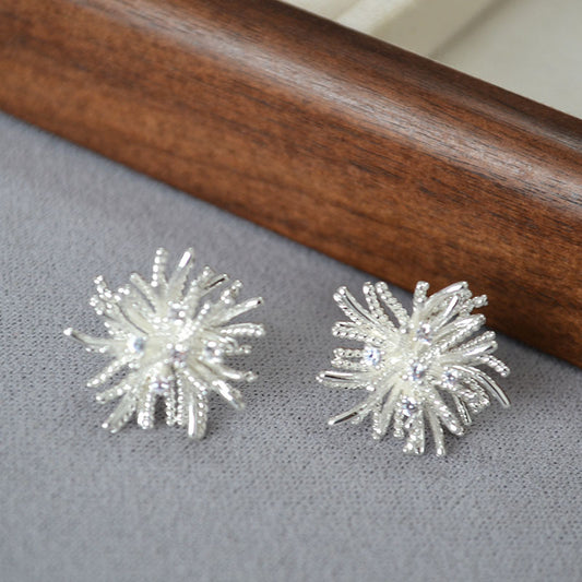 Beautiful Silver Earring with Unique Style