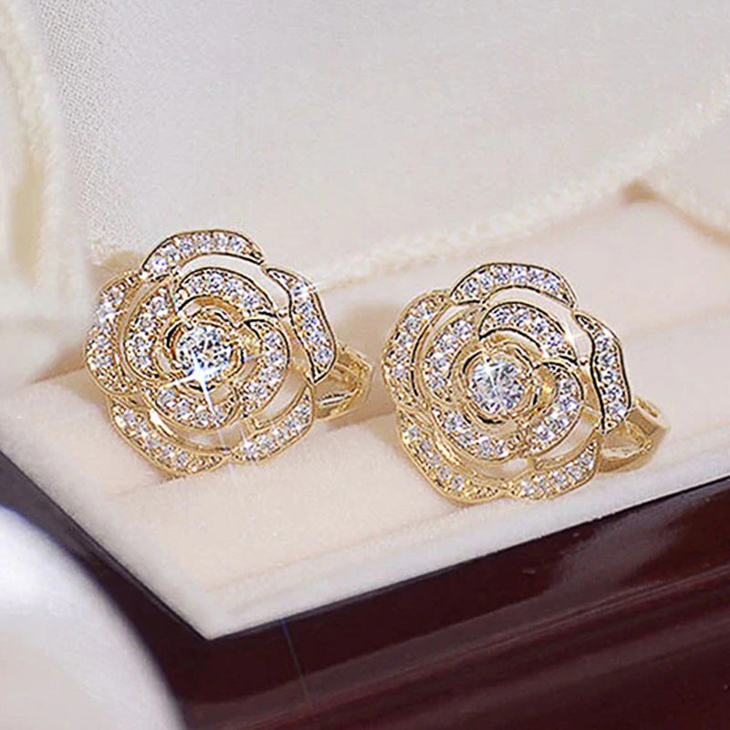 Beautiful Earring with Unique Style