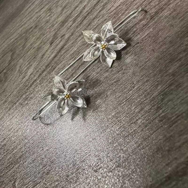 Charming Silver Earring for Any Occasion
