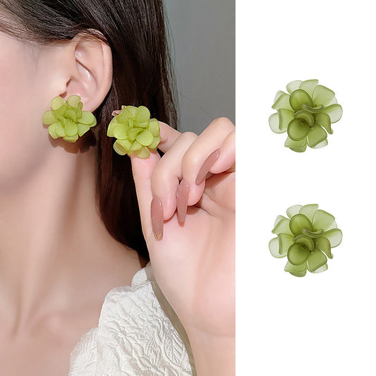 Charming Earring for Any Occasion