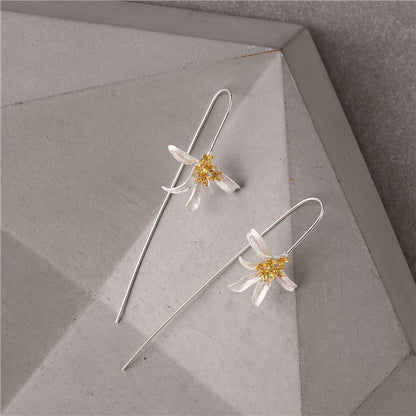 Beautiful Silver Earring with Unique Style