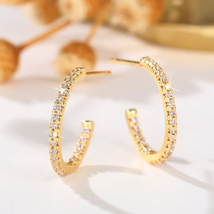 Charming Earring for Any Occasion