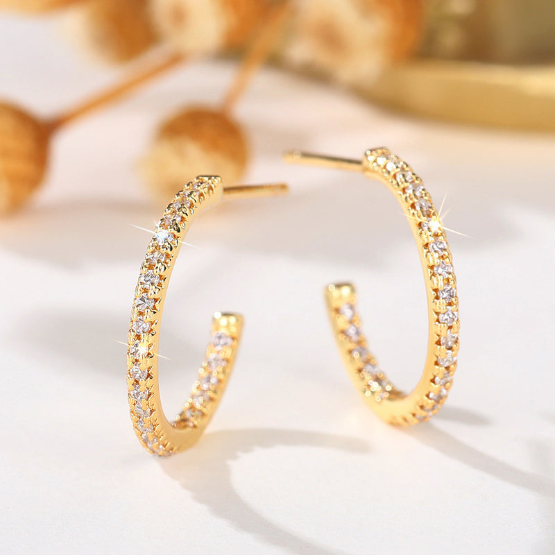 Charming Earring for Any Occasion