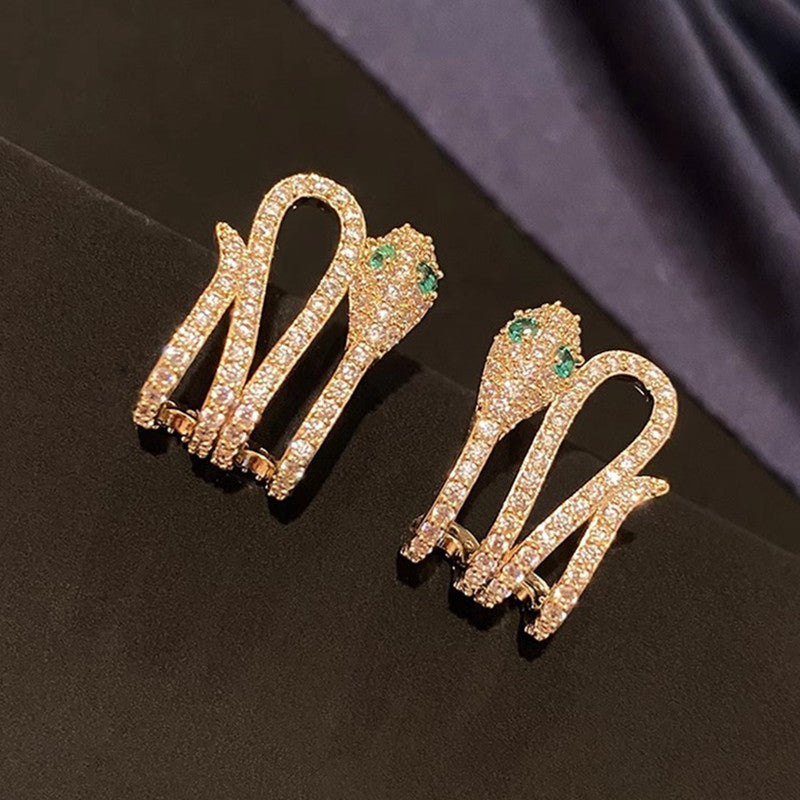 Charming Earring for Any Occasion
