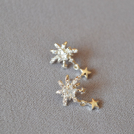 Beautiful Silver Earring with Unique Style