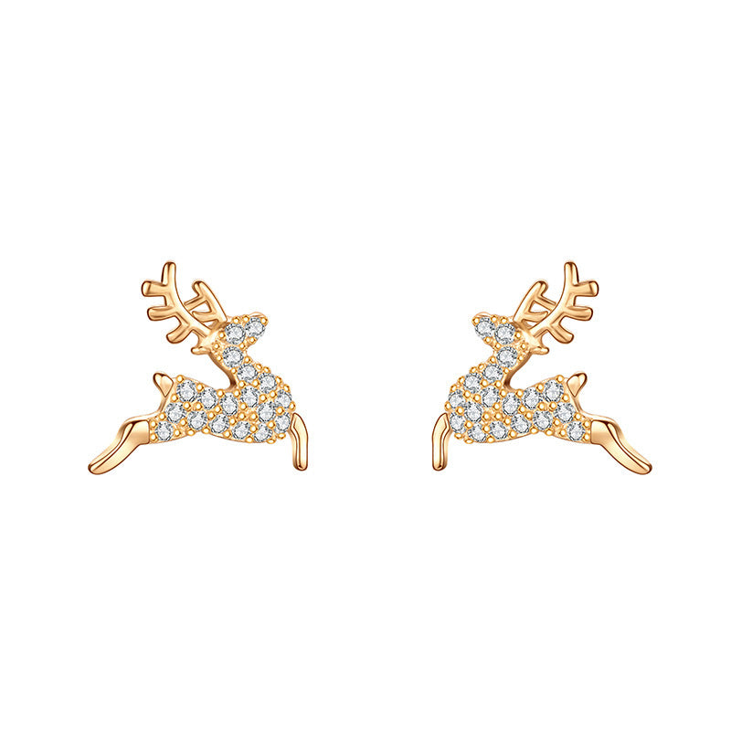 Charming Earring for Any Occasion