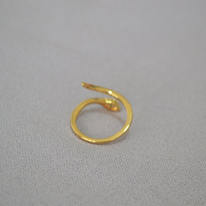 Classic Ring with Timeless Appeal