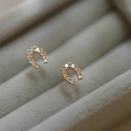 Classic Earring with Timeless Appeal
