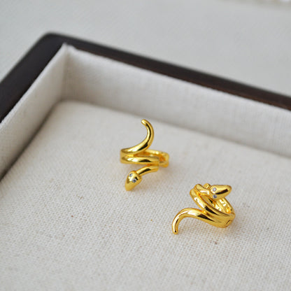 Charming Gold Earring for Any Occasion