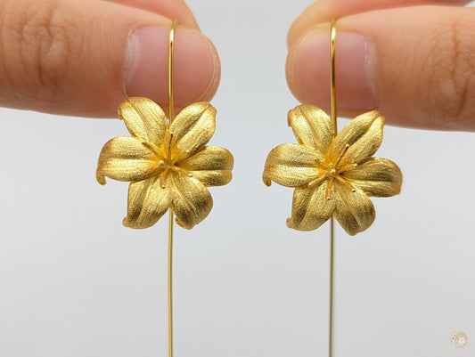 Beautiful Earring with Unique Style