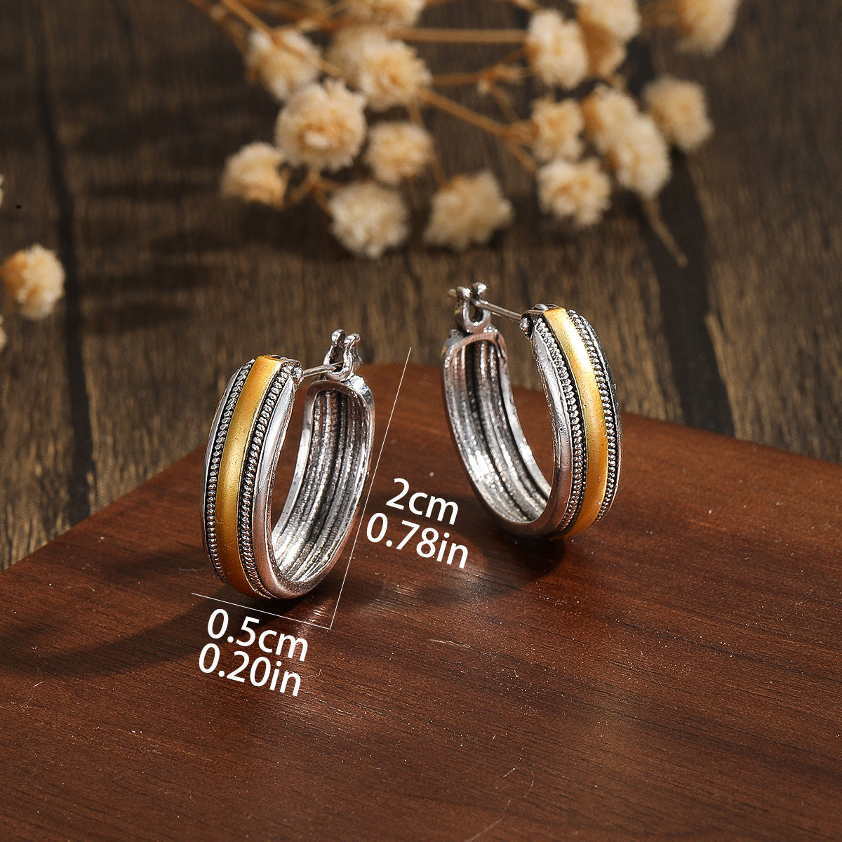 Charming Earring for Any Occasion