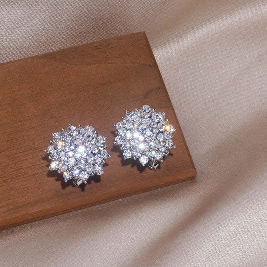 Charming Earring for Any Occasion