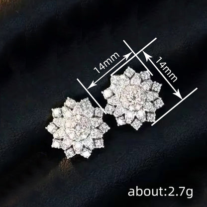 Stunning Earring for Daily Wear