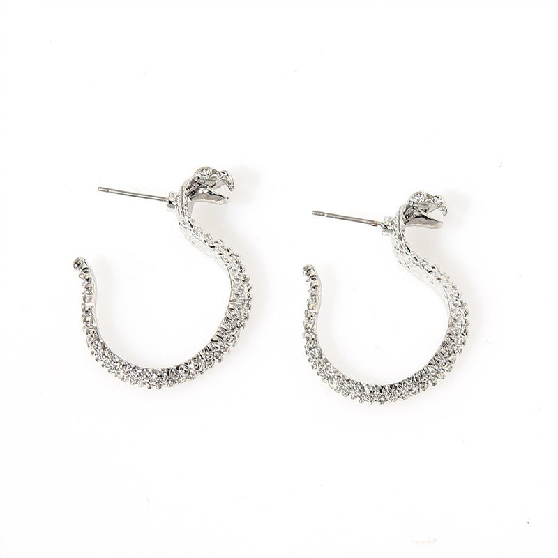 Elegant Earring for Every Occasion