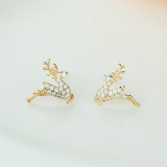 Charming Earring for Any Occasion
