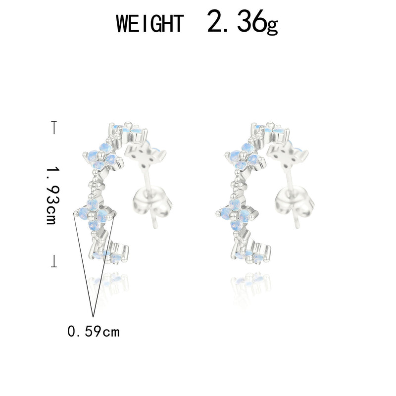 Beautiful Silver Earring with Unique Style