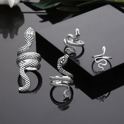 Beautiful Ring with Unique Style