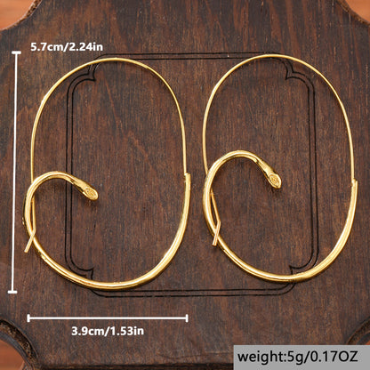 Stunning Earring for Daily Wear