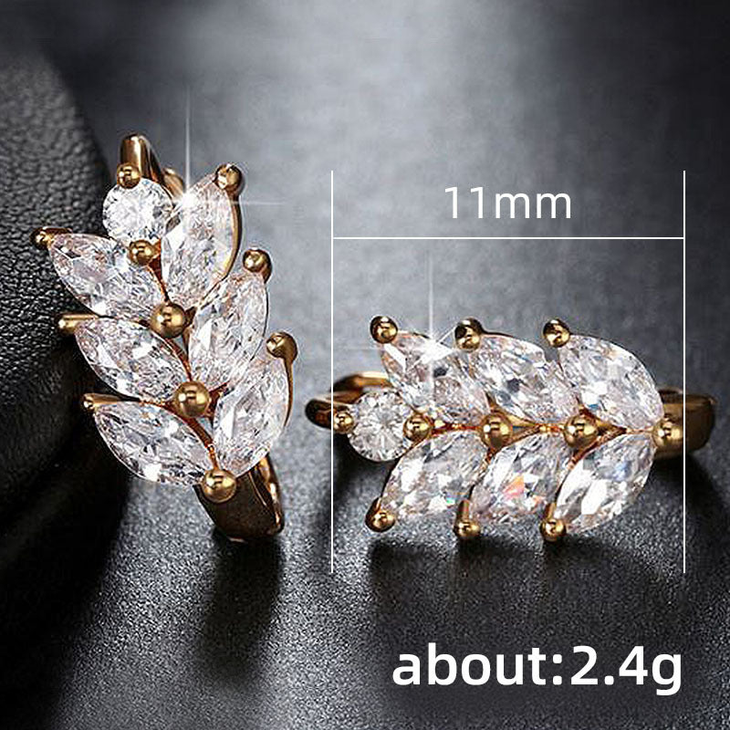 Beautiful Earring with Unique Style