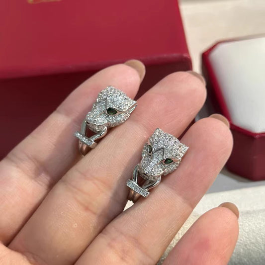 Charming Earring for Any Occasion