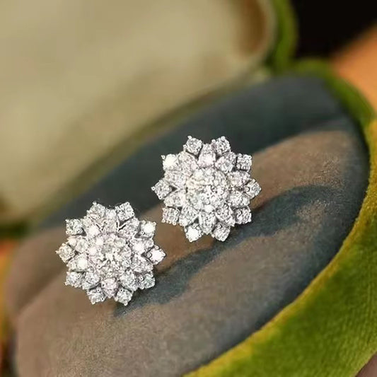 Stunning Earring for Daily Wear