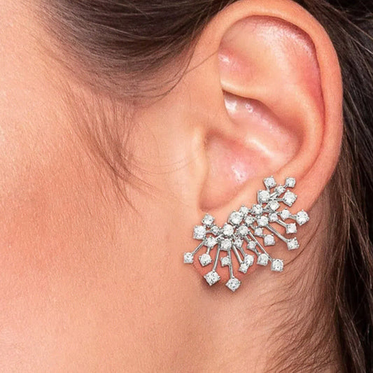 Charming Earring for Any Occasion