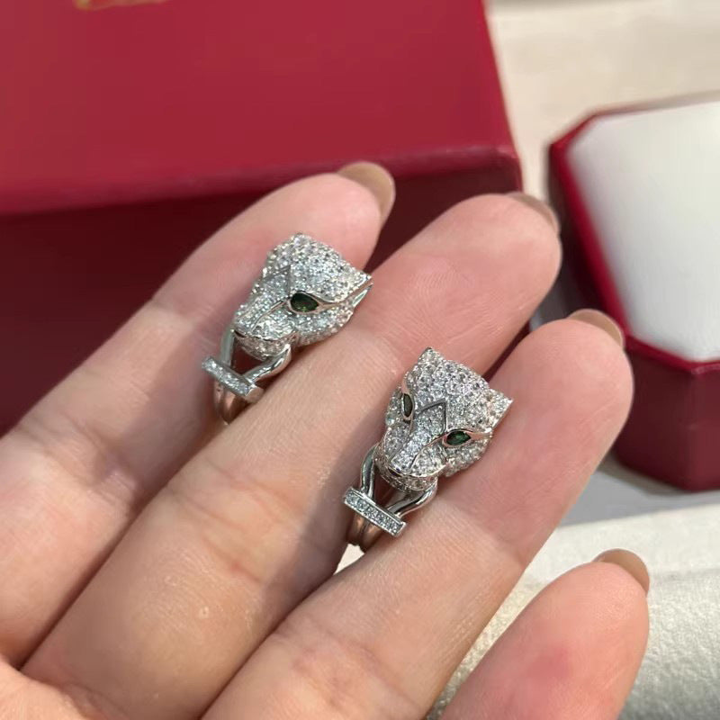 Classic Earring with Timeless Appeal