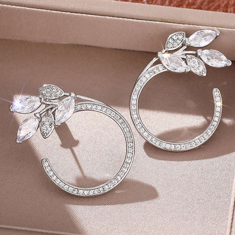 Charming Earring for Any Occasion