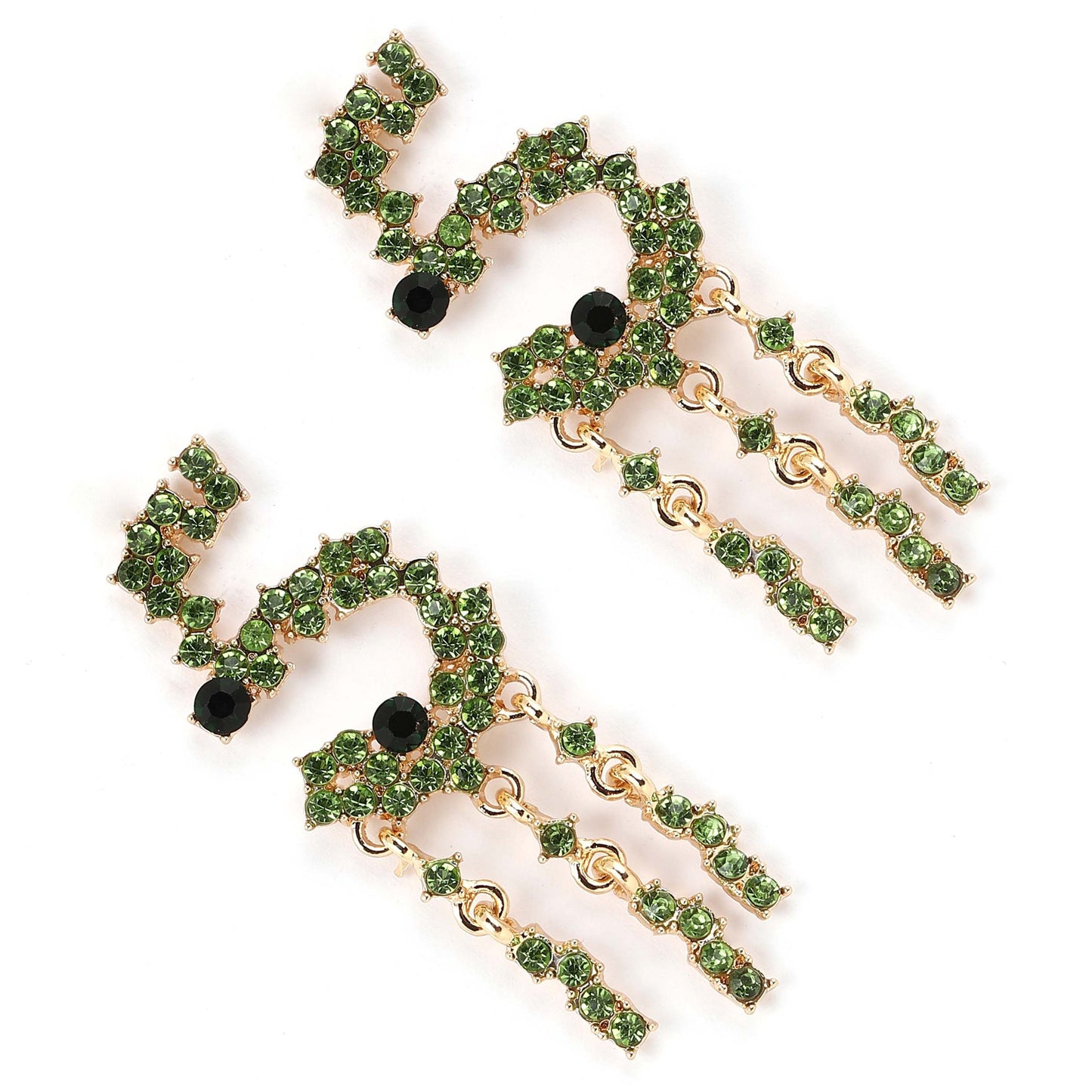 Charming Earring for Any Occasion