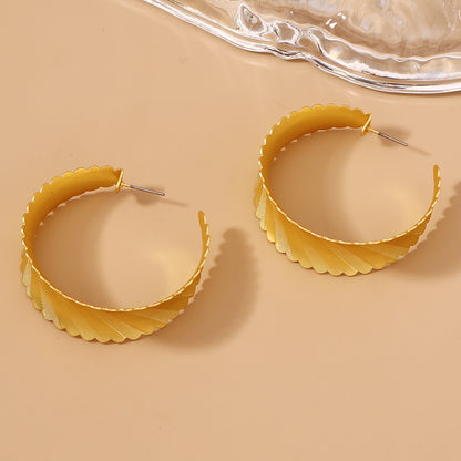 Charming Earring for Any Occasion