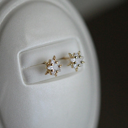 Delicate Artisan Earring