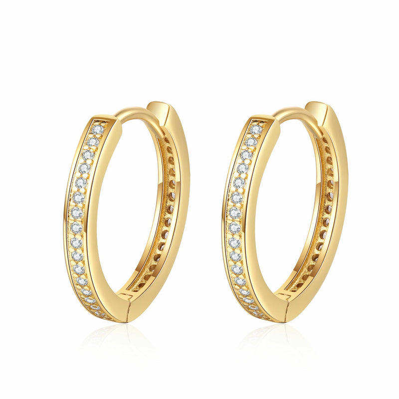 Charming Earring for Any Occasion