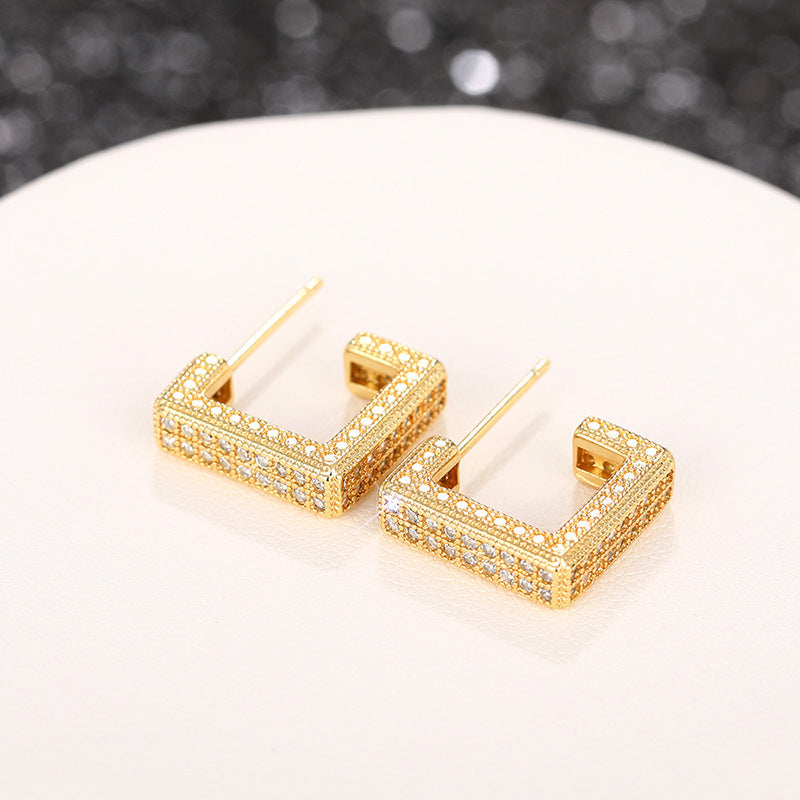 Beautiful Earring with Unique Style