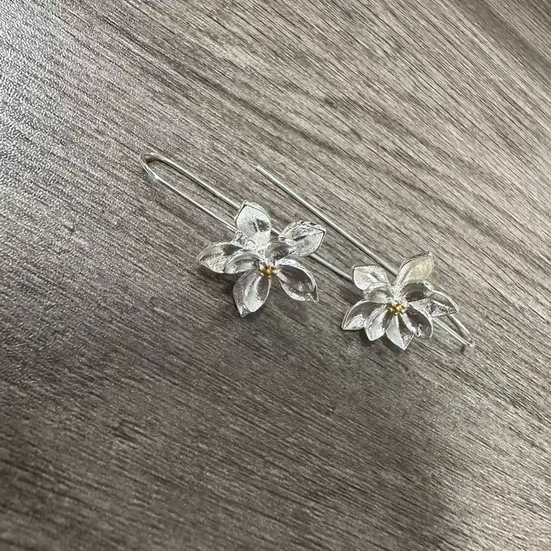 Charming Silver Earring for Any Occasion