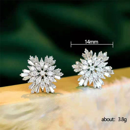 Stunning Earring for Daily Wear