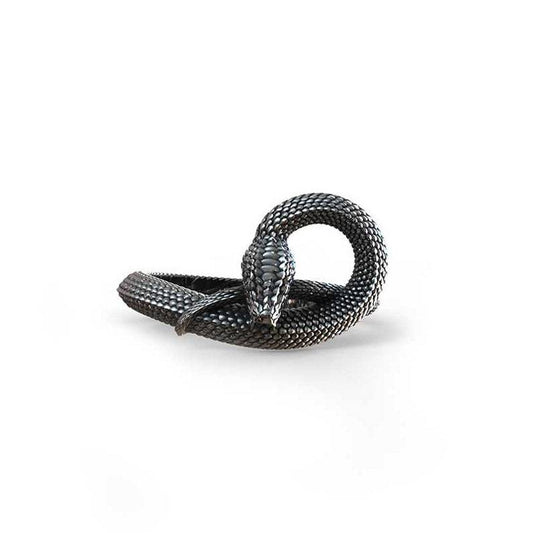 Stunning Silver Ring for Daily Wear
