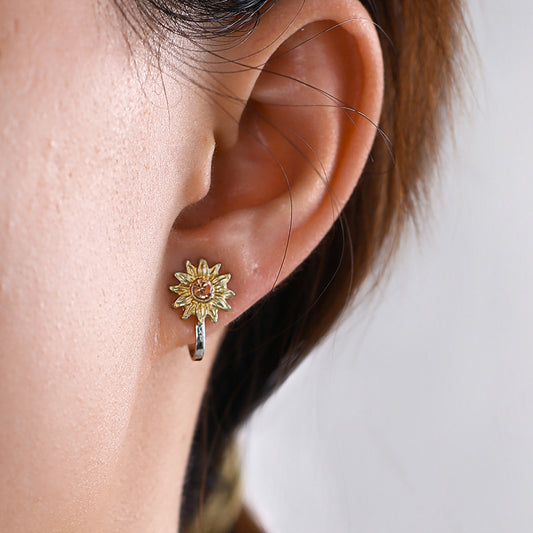 Charming Earring for Any Occasion