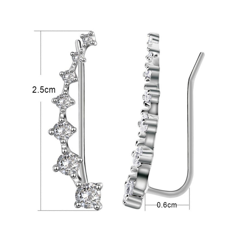 Classic Earring with Timeless Appeal