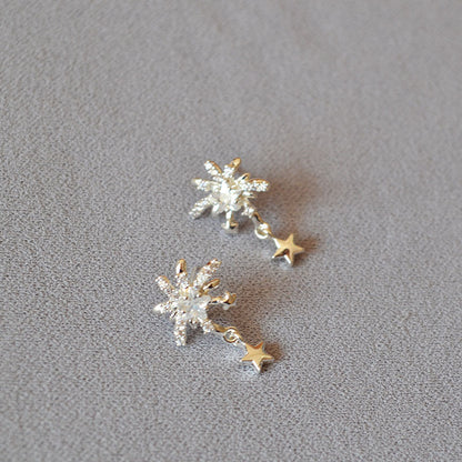 Beautiful Silver Earring with Unique Style
