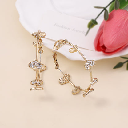 Beautiful Earring with Unique Style