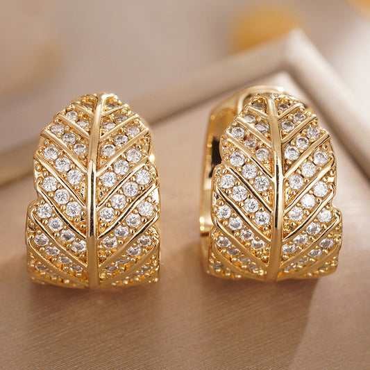 Charming Earring for Any Occasion
