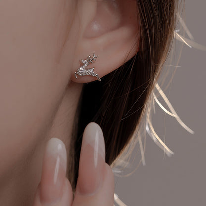 Charming Earring for Any Occasion