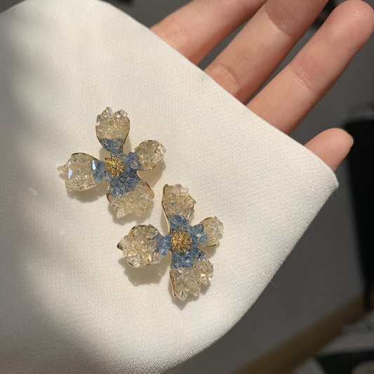 Charming Earring for Any Occasion