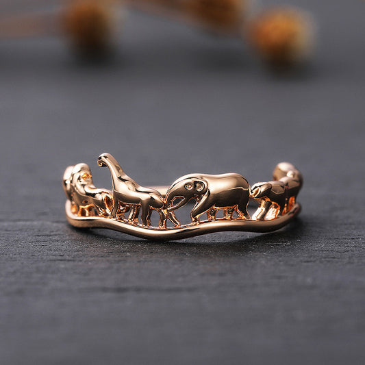Beautiful Ring with Unique Style