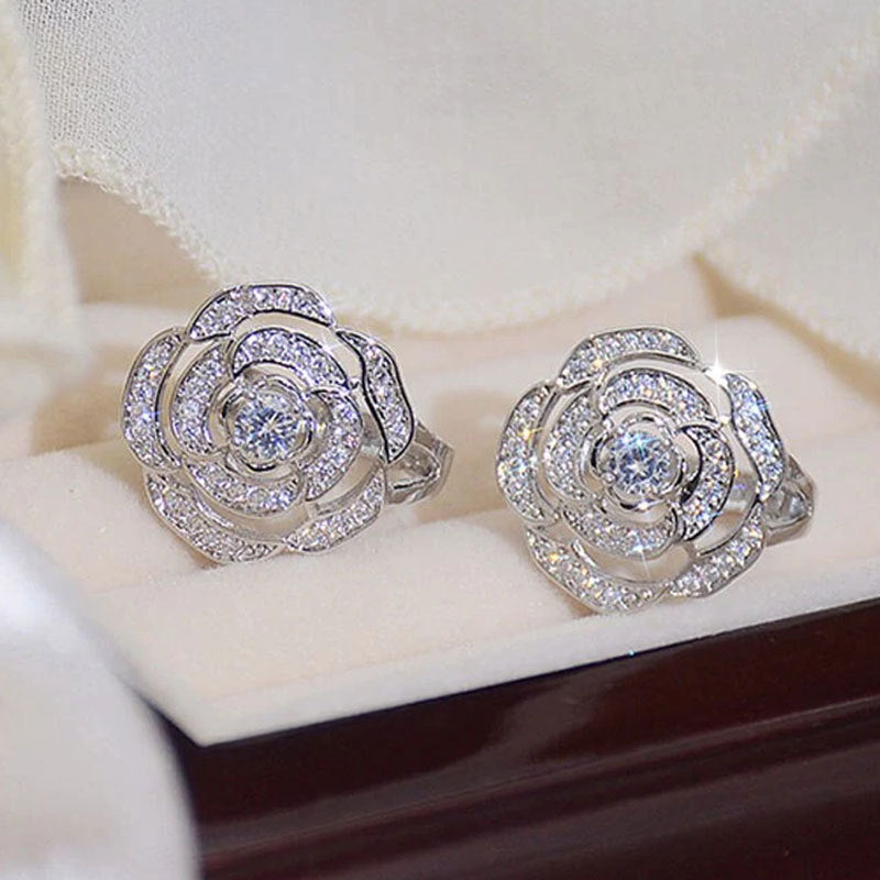 Beautiful Earring with Unique Style