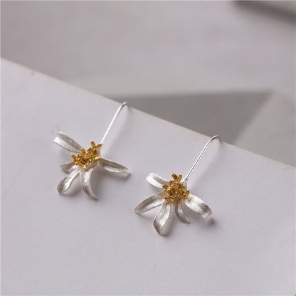 Beautiful Silver Earring with Unique Style